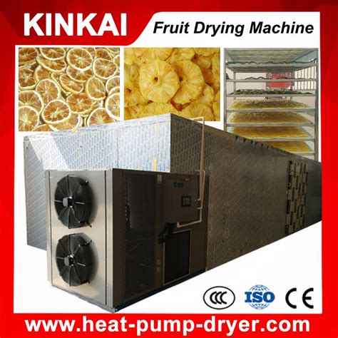 fruit drying machine|Iba pa.
